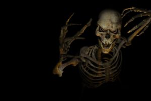 halloween, Skeleton, Skull