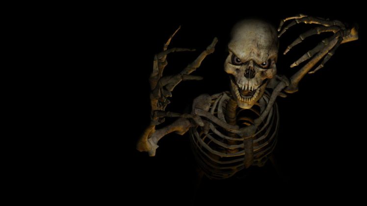 halloween, Skeleton, Skull HD Wallpaper Desktop Background