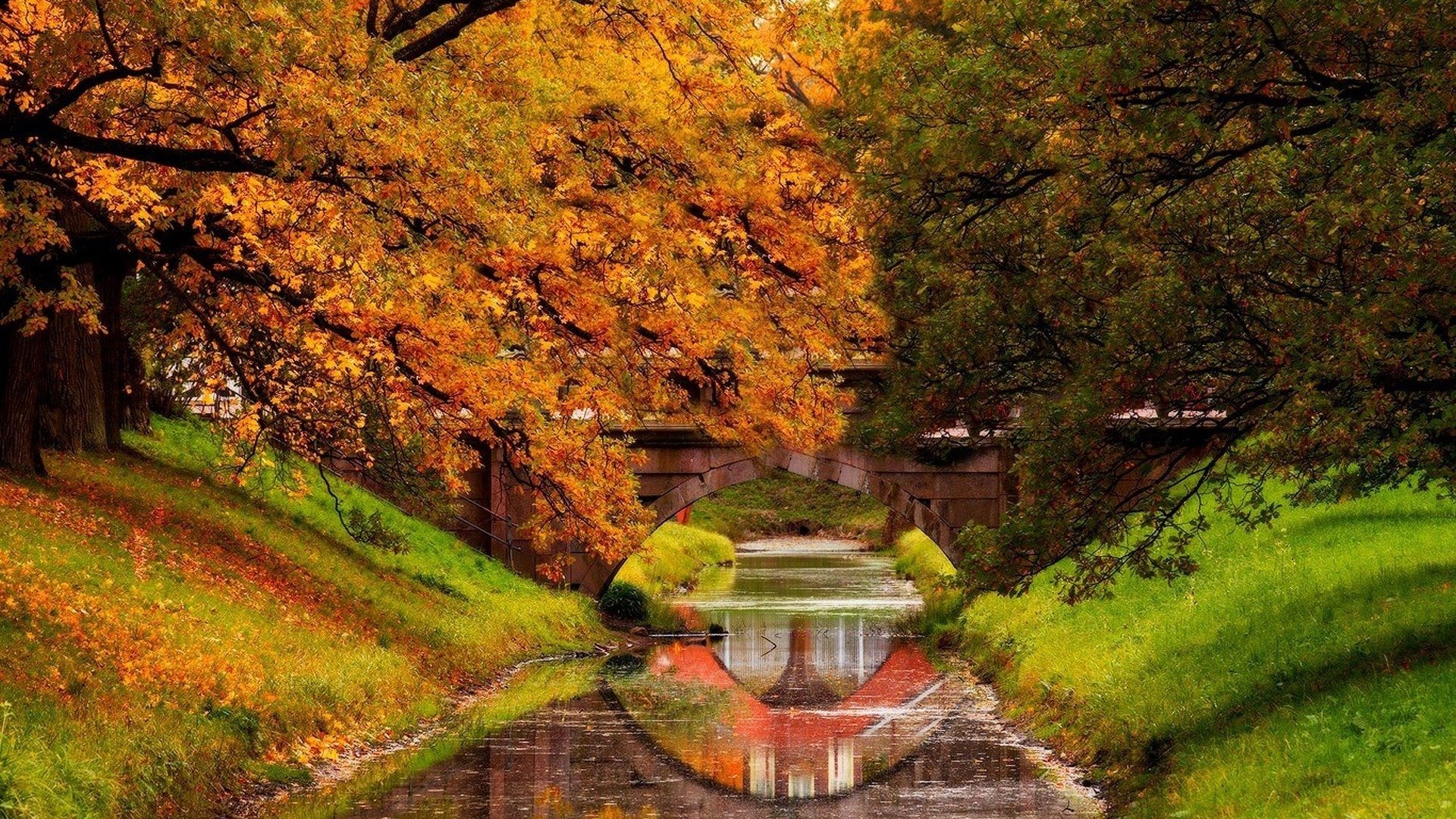 493627 Wallpaper