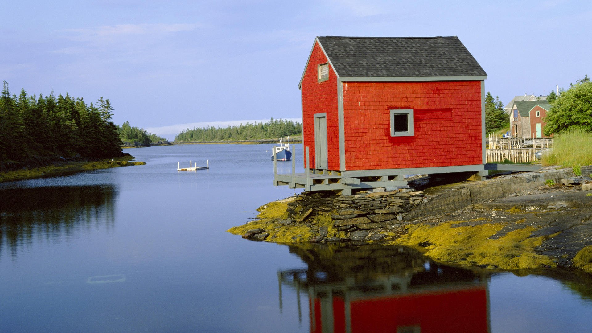 493637 Wallpapers HD / Desktop and Mobile Backgrounds