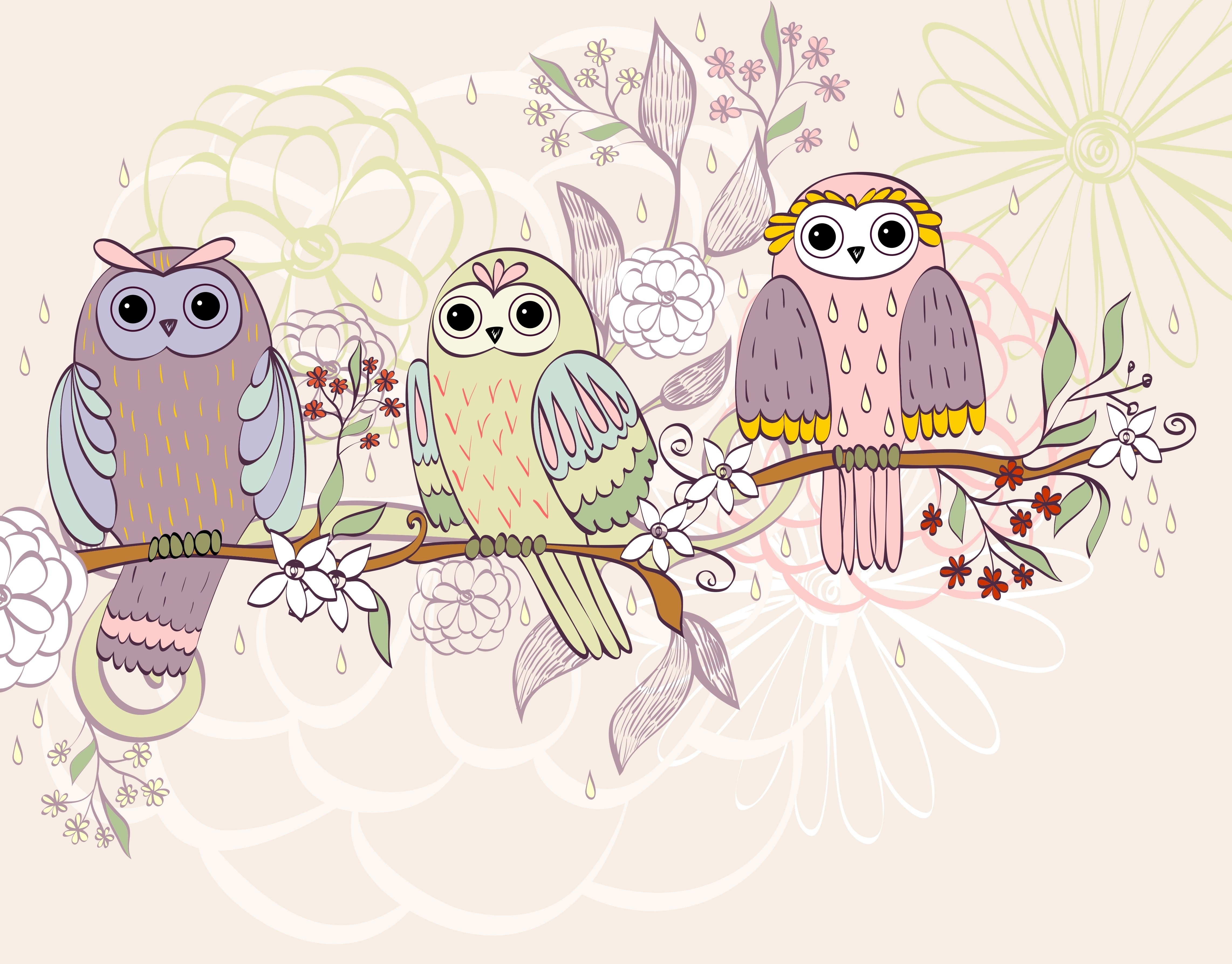 flowers, Owls, Texture, Birds, Branch Wallpaper