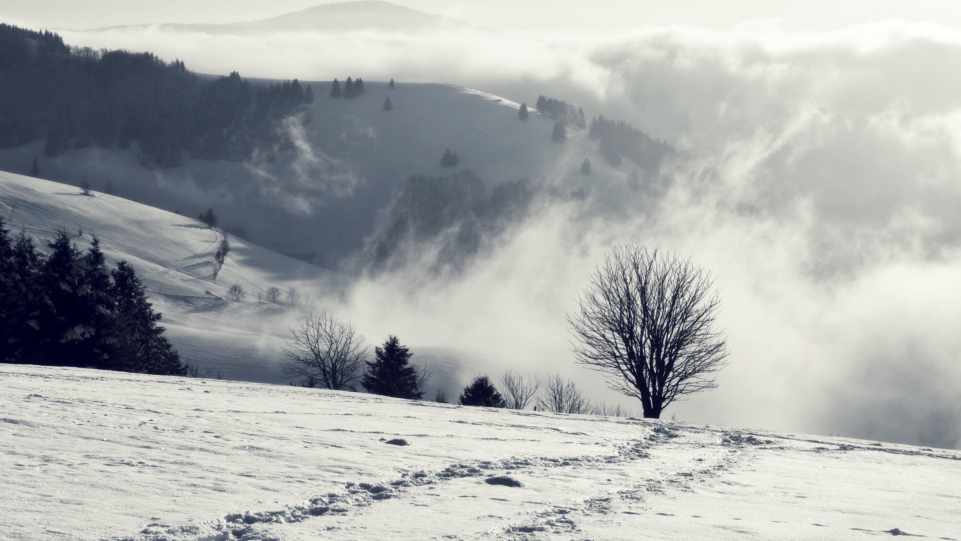 nature, Landscape, Beautiful, Wild Wallpaper