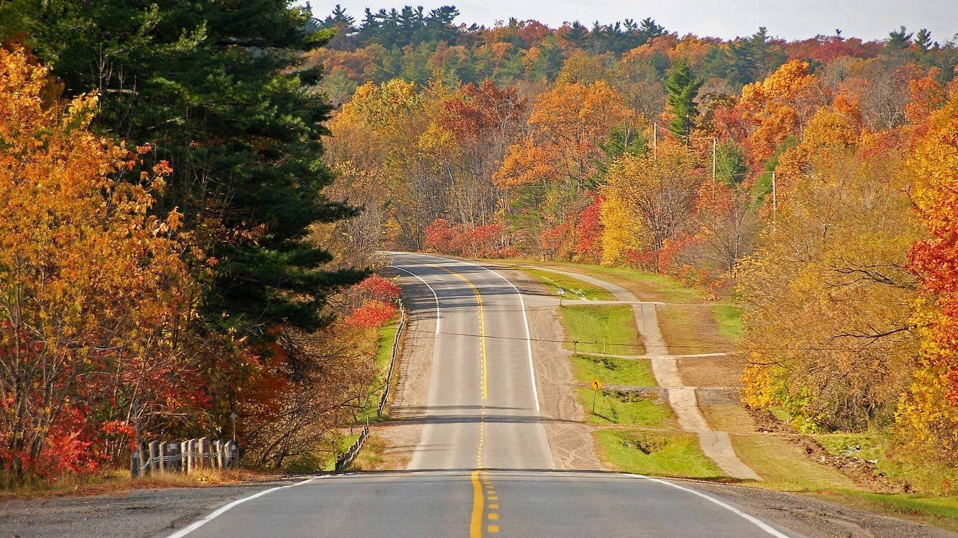 nature, Landscape, Beautiful, Wild Wallpaper