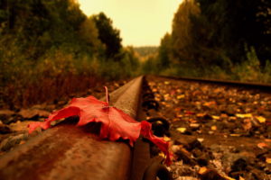 red, Leaf, On, Railroad
