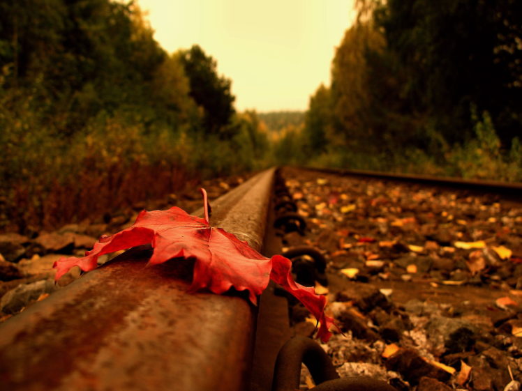 red, Leaf, On, Railroad HD Wallpaper Desktop Background
