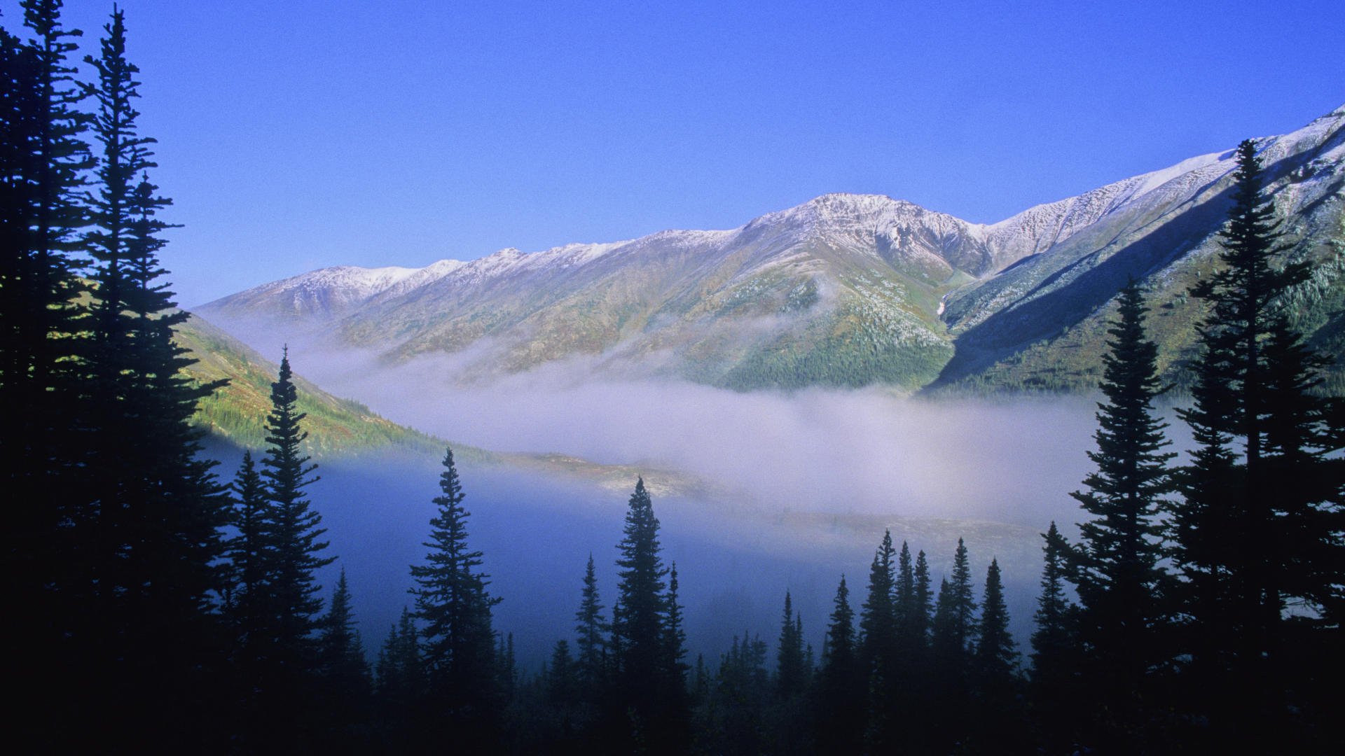 winter, Hd, Wallpaper Wallpaper