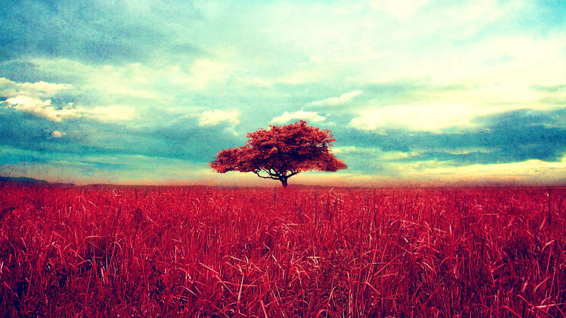 vintage, Scene Wallpaper