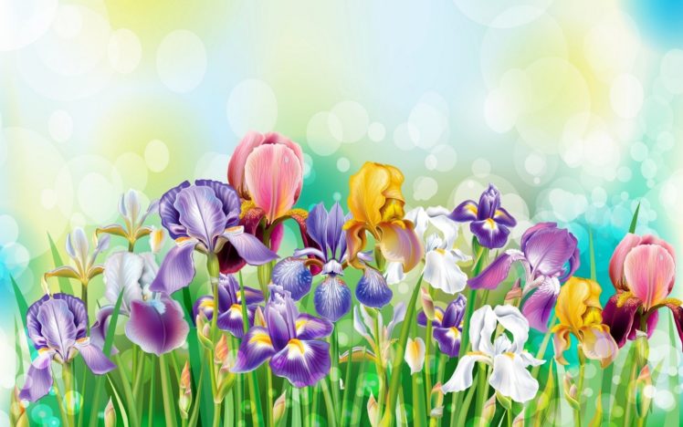 bouquet, Flowers, Irises HD Wallpaper Desktop Background