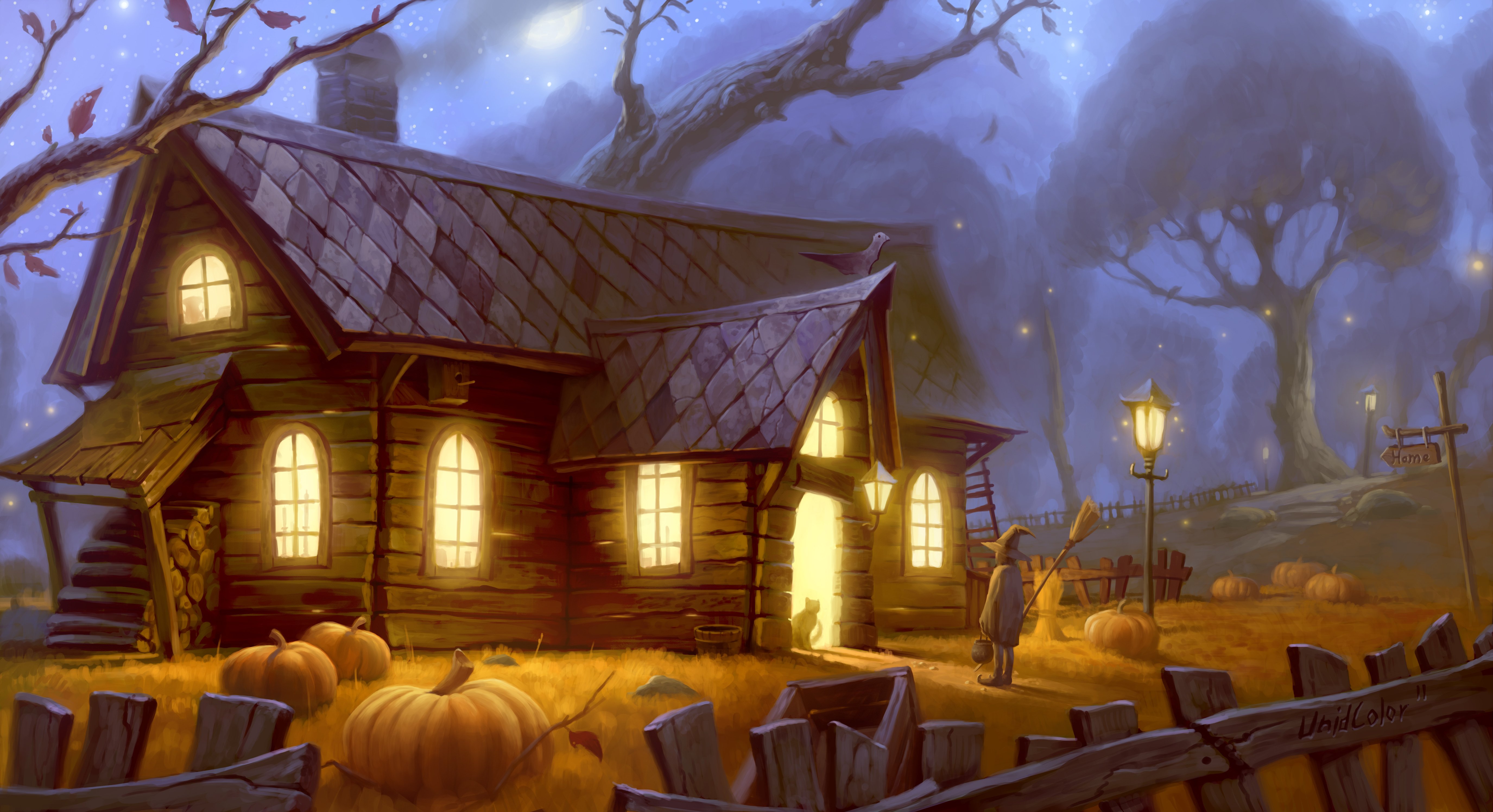 halloween, Home, Light, Cat, Pumpkin, Forest, Witch Wallpaper