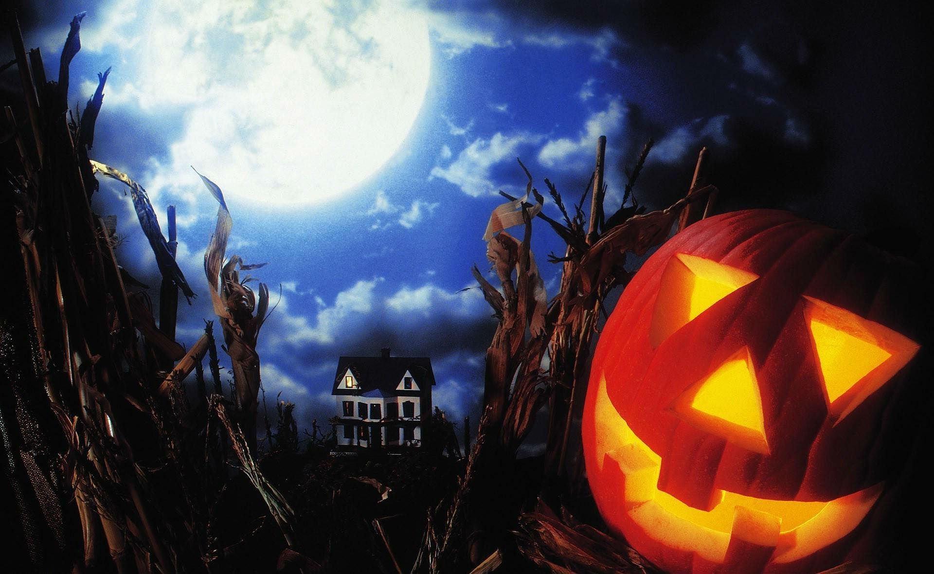 halloween Wallpaper