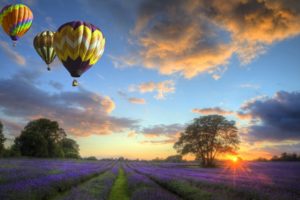 nature, Sky, Clouds, Sunset, Landscape, Balloons, Field, Flowers