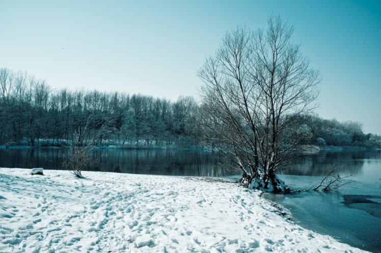trees, Winter, Lake, Snow HD Wallpaper Desktop Background