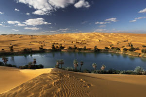 desert, Oasis, Water, Landscape, Cgi, 3d