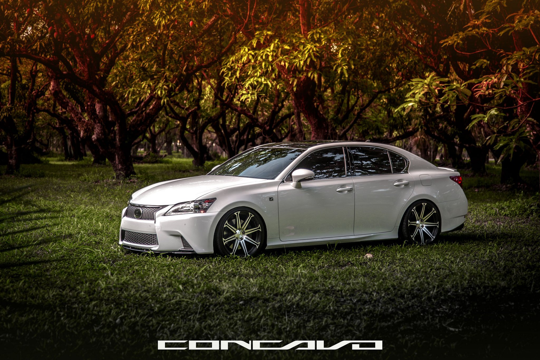 lexus, Gs350, F sport, Tuning, Concavo, Wheels, Cars Wallpaper