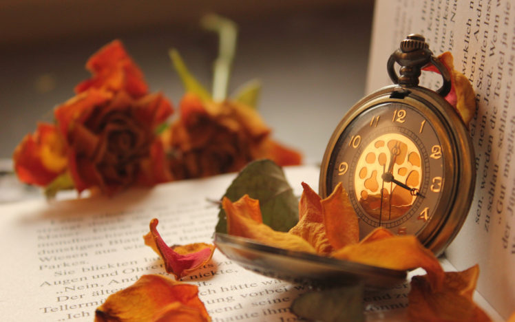 flowers, Books, Petals, Pocket, Watches, Rose, Mood, Clock, Book, Text HD Wallpaper Desktop Background