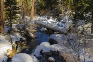 forest, Creek, Nature, Snow, Winter, Trees