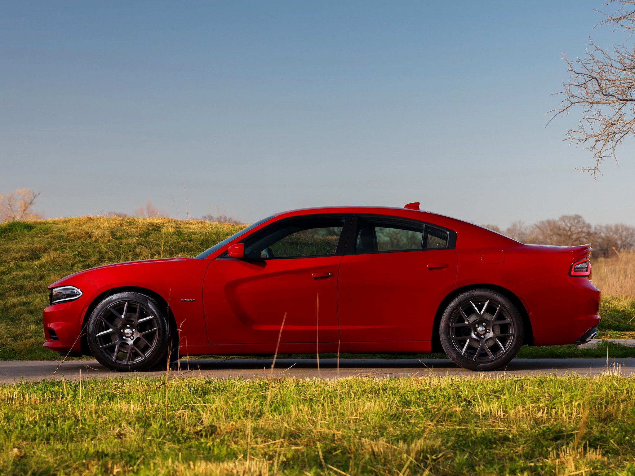 2015, Dodge, Charger, R t,  l d , Muscle Wallpaper