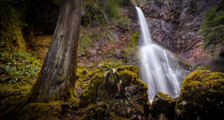 waterfall, Forest, Tree, Moss HD Wallpaper Desktop Background
