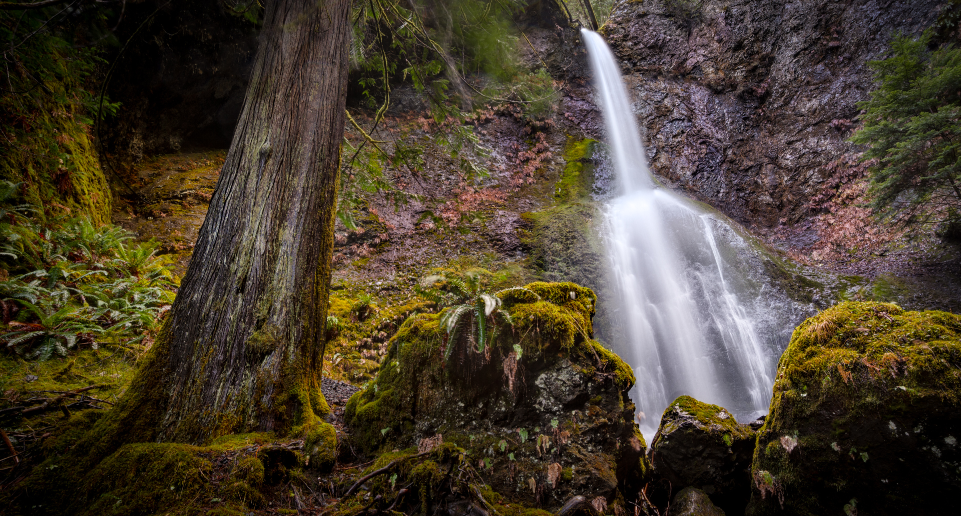 waterfall, Forest, Tree, Moss Wallpaper