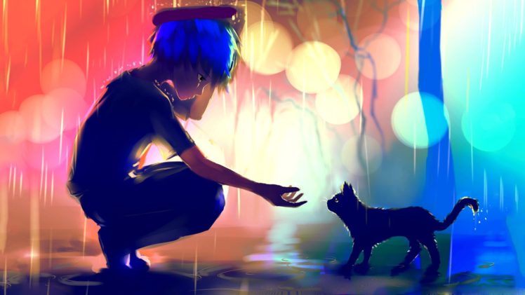 rain, Falling bokeh, Cat, Cute, Blue, Red, Light HD Wallpaper Desktop Background