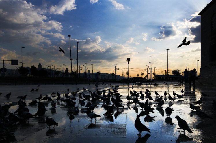 istanbul, Yeni, Camii, Turkey, Birds, Pigeons, Blue, Sky, Cloud HD Wallpaper Desktop Background