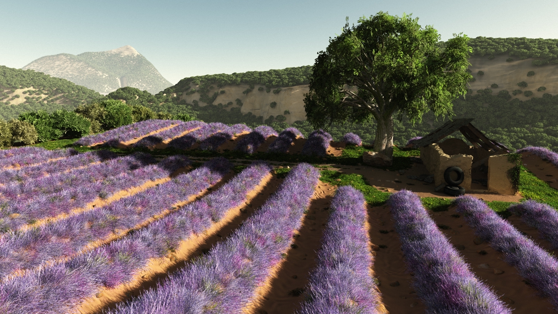 art, Field, Flowers, Lavender, Lilac, Buildings, Trees, Hills, Rows, Mountains Wallpaper