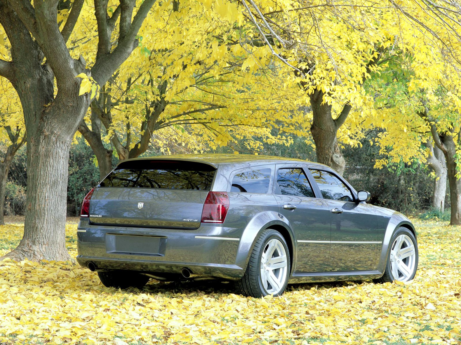 2003, Dodge, Magnum, Srt 8, Concept,  l x , Srt8, Stationwagon, Muscle Wallpaper