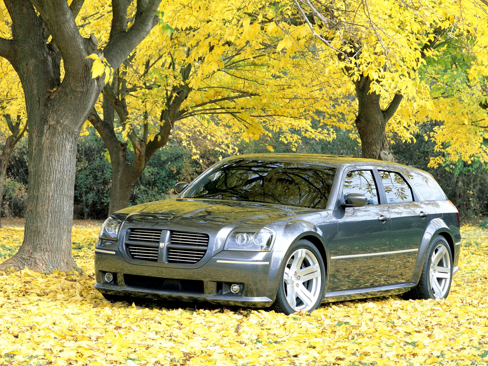 2003, Dodge, Magnum, Srt 8, Concept,  l x , Srt8, Stationwagon, Muscle Wallpaper