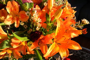 alstroemeria, Orange, Flowers, Bouquet
