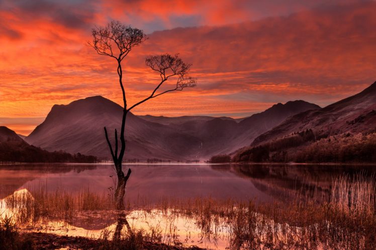 lake, District, England, Sunrise, Water, Tree, Reflection HD Wallpaper Desktop Background
