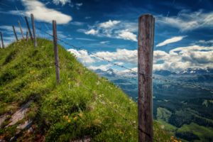 fence, Landscape, View, Thorn