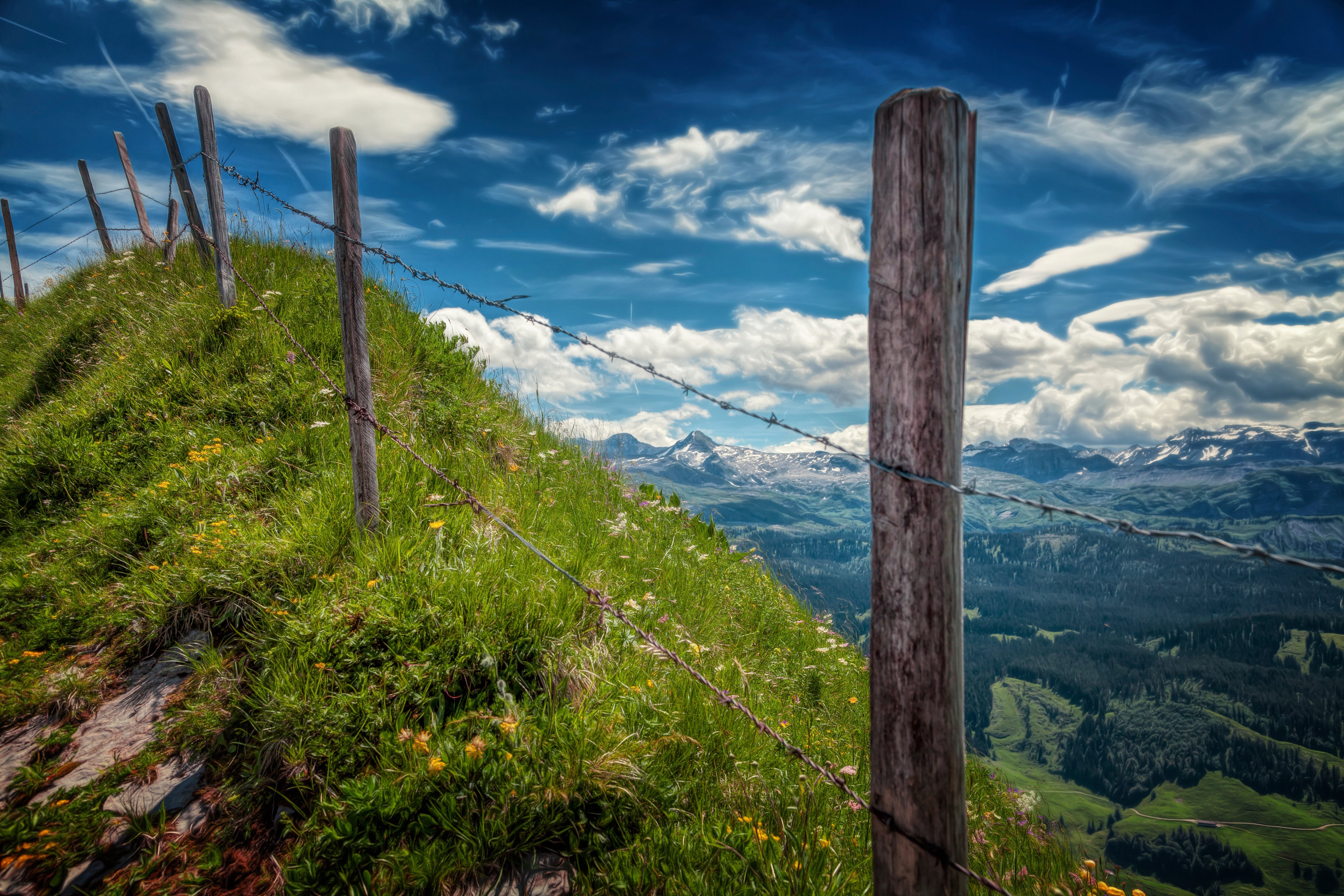 fence, Landscape, View, Thorn Wallpaper