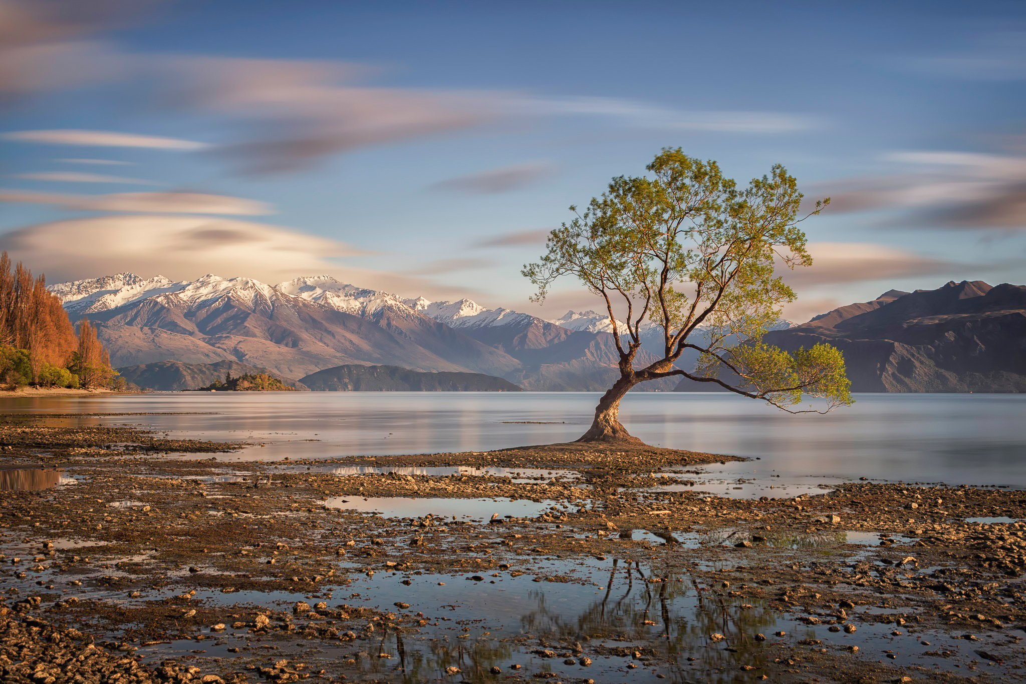 lake, Wanaka, New, Zealand, Tree, Autumn Wallpaper