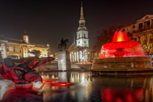 buildings, Night, Fountain, Statue, Reflection