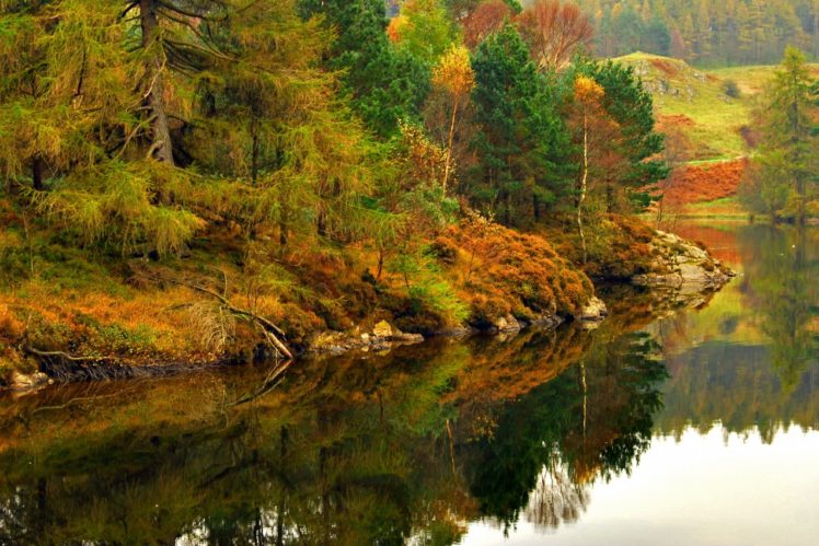 lake, Forest, Autumn, Lake, District, Reflection, England, Lake, District, Cumbria HD Wallpaper Desktop Background