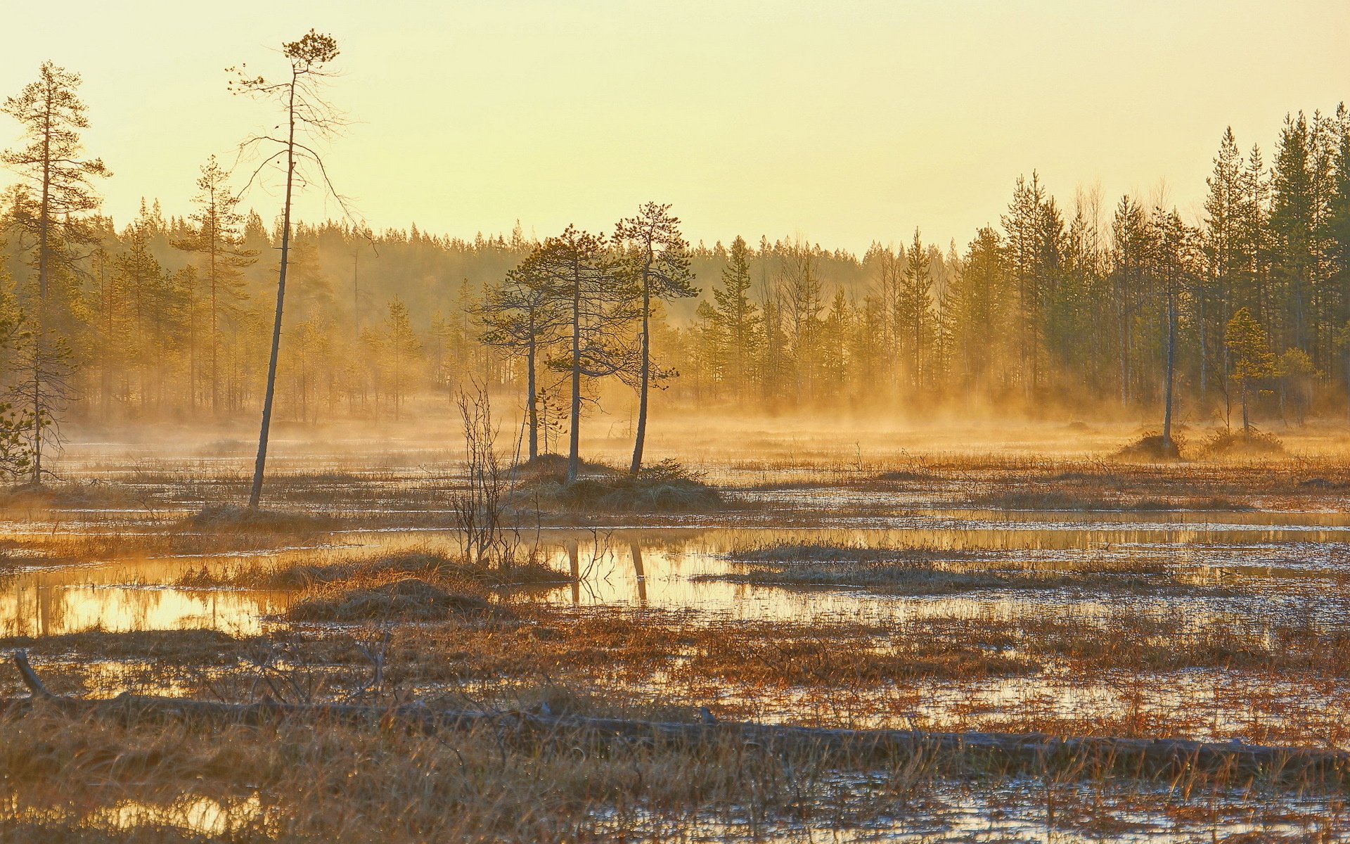 nature, Landscape, Morning, Lake, Autumn, Fog, Mist Wallpaper