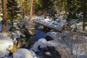 forests, Stream, Snow, Nature, Rivers, Trees, Winter