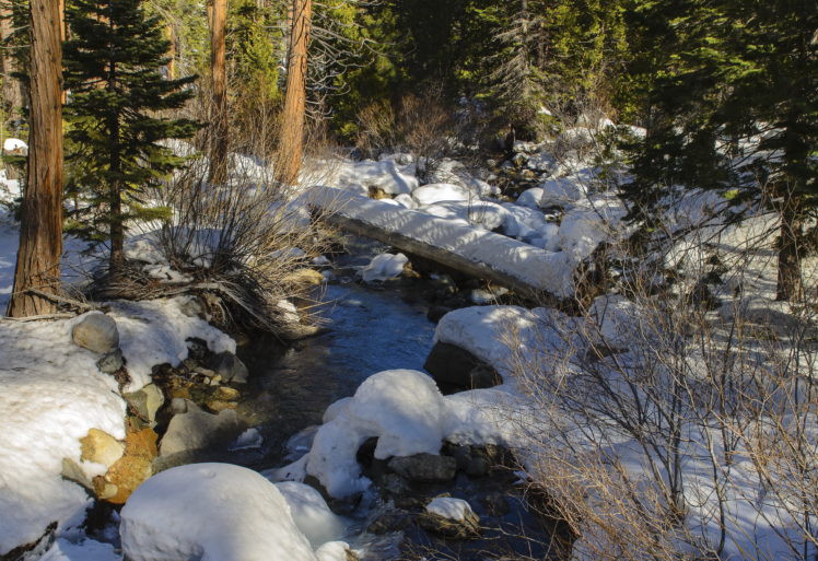 forests, Stream, Snow, Nature, Rivers, Trees, Winter HD Wallpaper Desktop Background