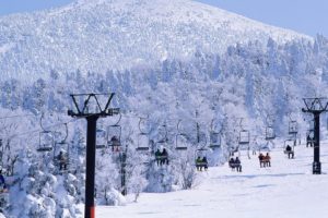 winter, Forest, Ski, Resort