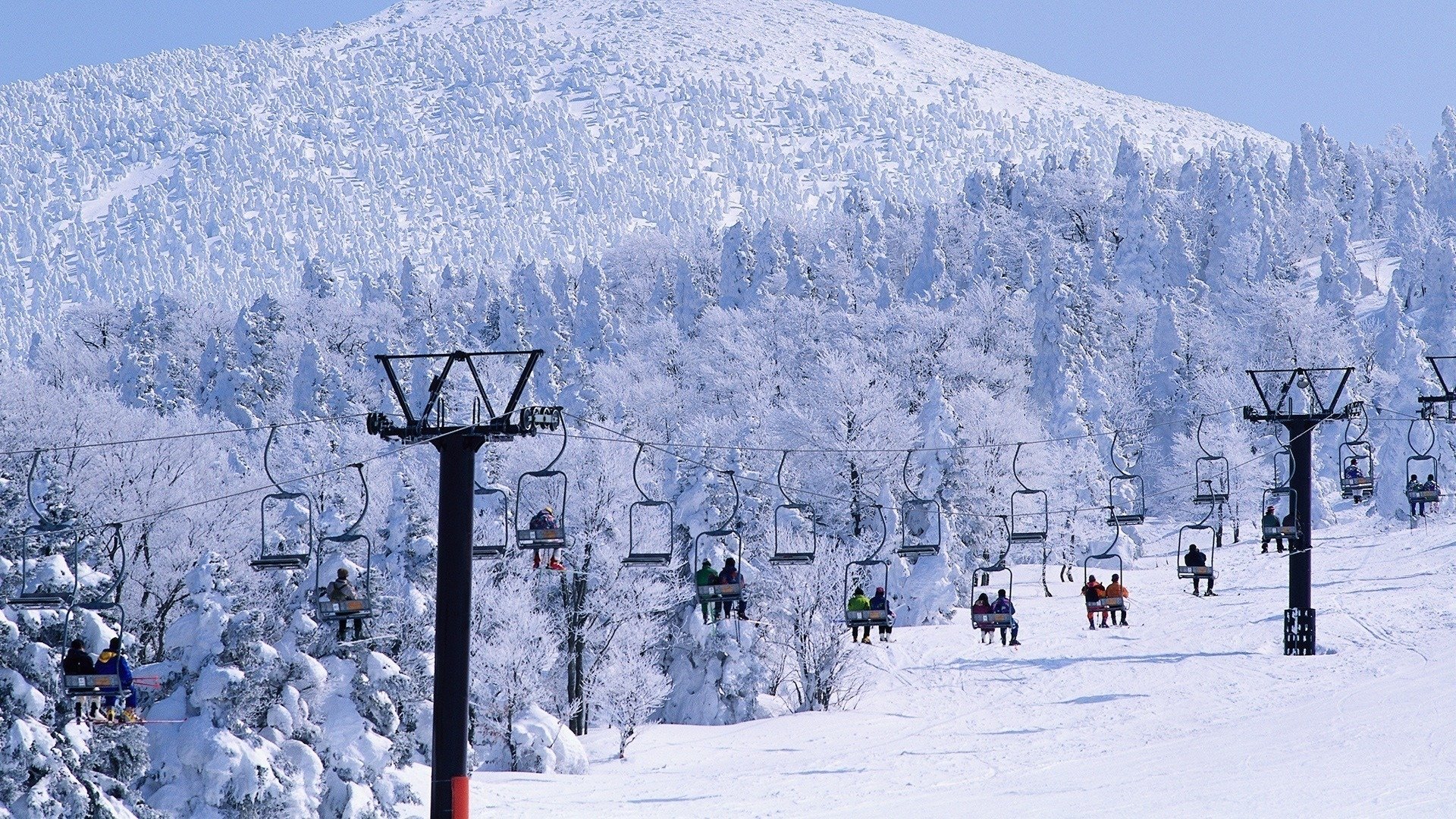 winter, Forest, Ski, Resort Wallpaper