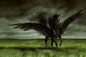 black, Horse, Wings, Field