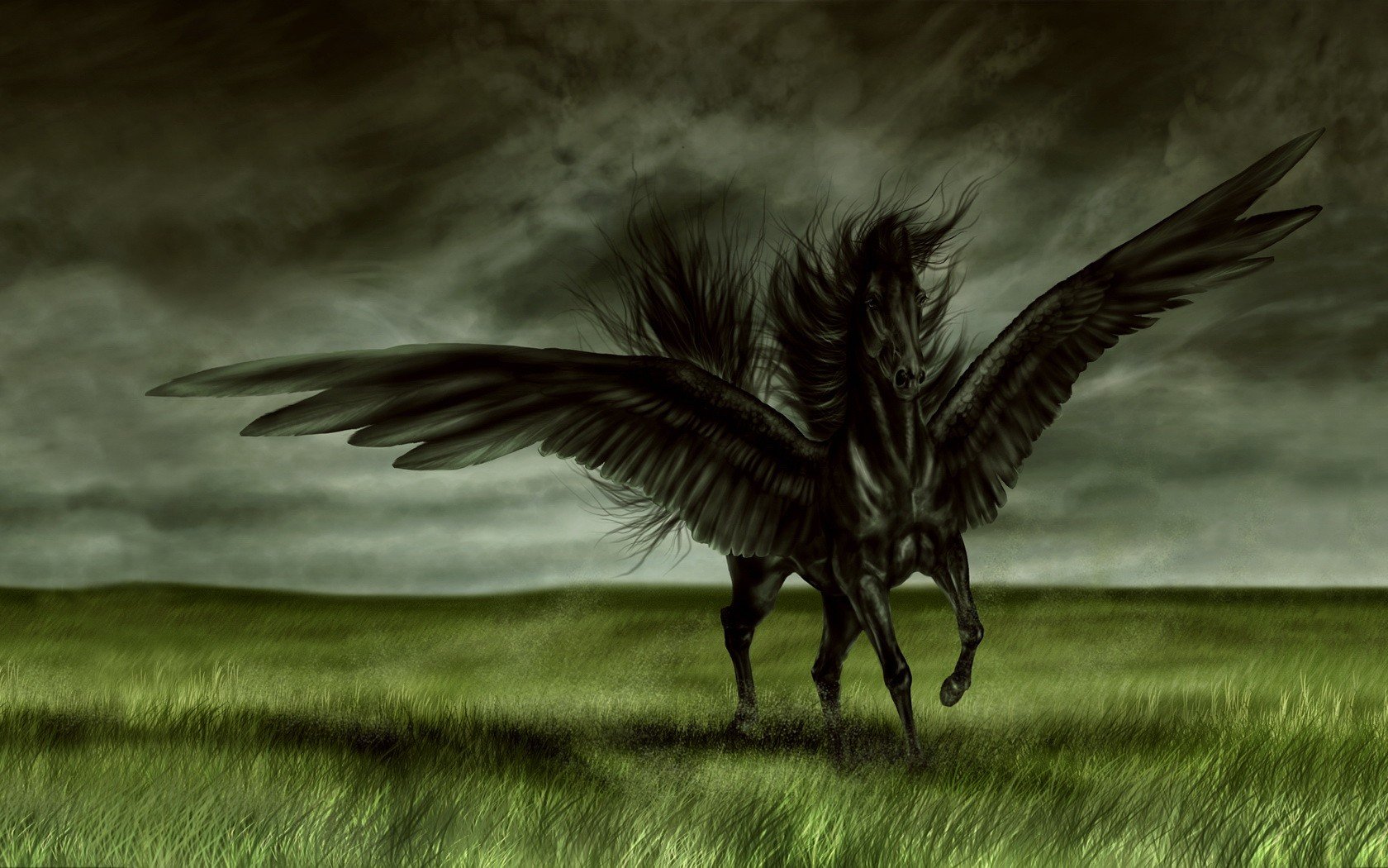 black, Horse, Wings, Field Wallpaper