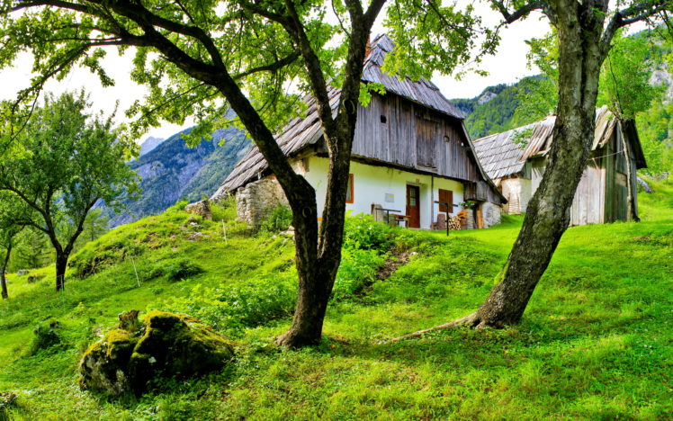 scenery, Slovenia, Bovec, Trees, Grass, Buildings, House HD Wallpaper Desktop Background