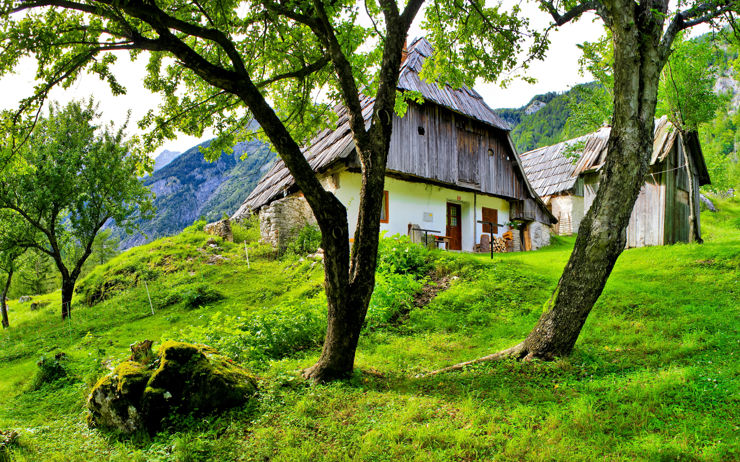scenery, Slovenia, Bovec, Trees, Grass, Buildings, House Wallpaper