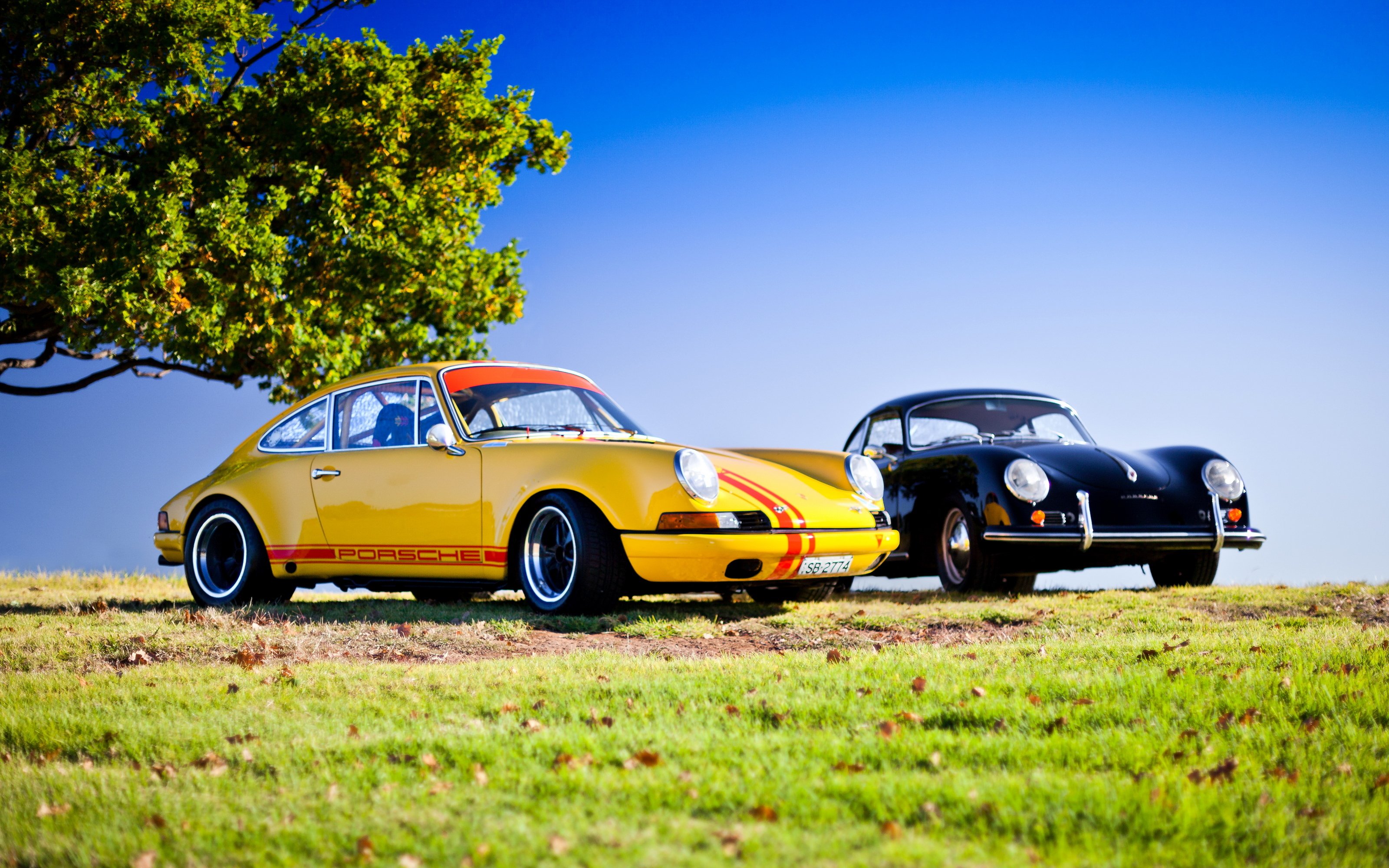 porsche, 911, Carrera, 356 Wallpaper