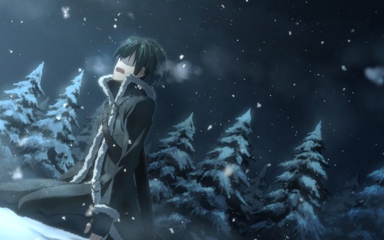 all, Male, Gloves, Kirigaya, Kazuto, Male, Night, Sky, Snow, Sword, Art, Online, Tree, Winter, Yuuki, Tatsuya HD Wallpaper Desktop Background