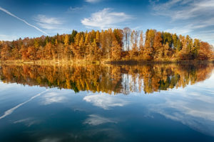 trees, Lake, Reflection, Autumn