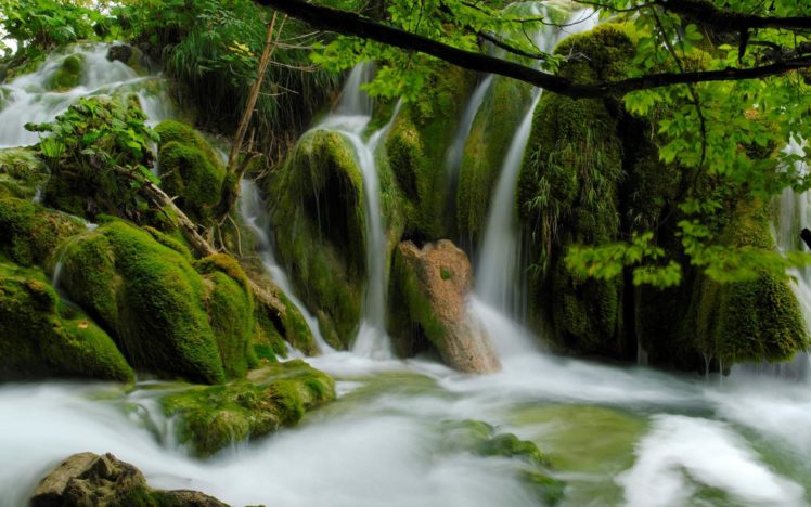 waterfall, Forest, Moss, Rivers, Trees HD Wallpaper Desktop Background