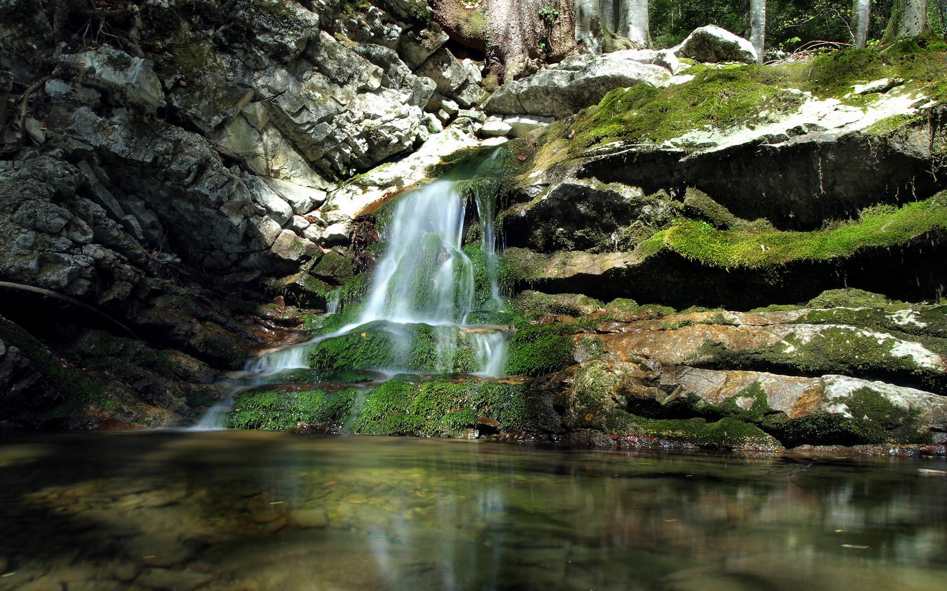 waterfall, Moss, Rock, Stone Wallpaper