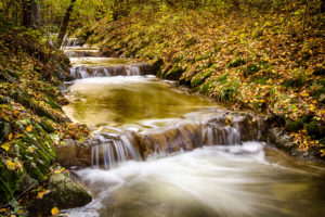 waterfall, Stream, Forest, Timelapse, Trees, River, Autumn